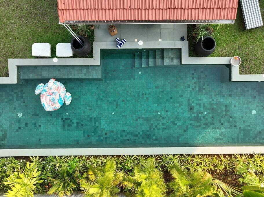 فيلا Casa Azul- Luxury 4Bhk Assagao With Private Pool فاغاتور المظهر الخارجي الصورة